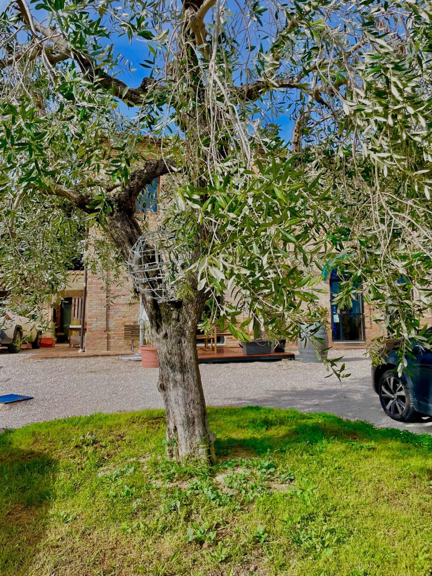 Masseria Tattoni - Residenza Di Campagna - Narramondo Villas Bellante Exterior photo